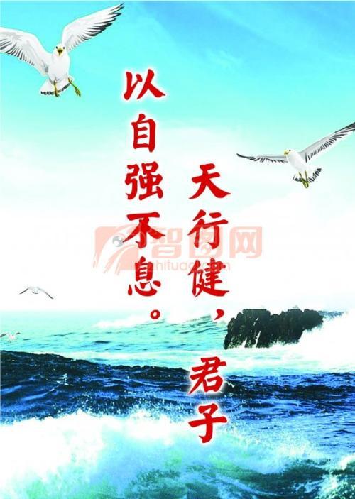  自强不息  1