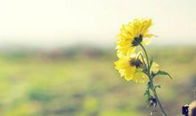 节假日短信问候语