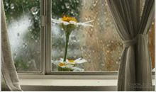 听着窗外的雨声的说说