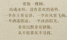 三毛励志名言