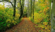 立夏高温问候短信