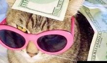 朋友圈男说说大全