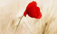 经典语录太经典了