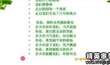 小学毕业感言简短