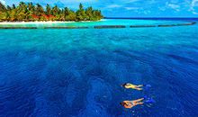 天气转冷客户问候短信