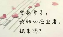 心碎才会坚强句子