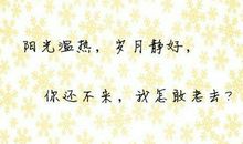 关于爱情的格言