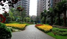 小区环境优美的句子