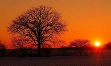 对工作很失望的句子