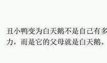 面对现实的句子