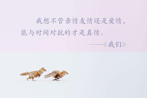    友谊的名言   1