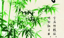 描写竹子外貌的句子