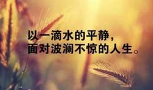 生活感悟句子经典