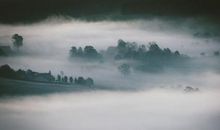 描写雾的优美句子