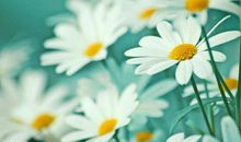 吃晚饭幽默问候短信