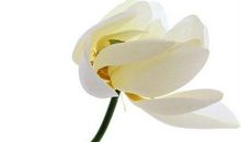 初夏养生问候短信
