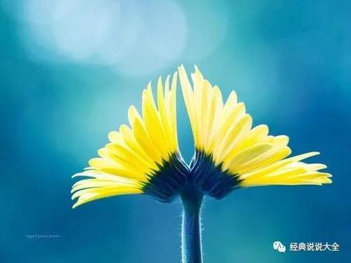 不要虚构