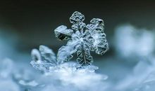 描写雪花飘落的句子