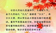 重阳节的温馨祝福语
