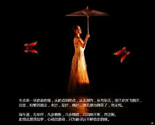 如果你爱