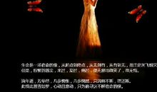 为爱付出的心碎句子