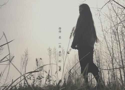 让流放的眼泪