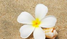 月初第一天早安心语 每月第一天心语正能量