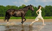 那些说到心坎的文字:总有一段路,你是会一边哭着一边走完