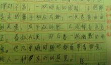 描写人物外貌的好段