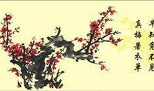 称赞美人的诗句