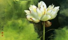 六十六条经典佛家禅语 提高你人生境界的佛家语录