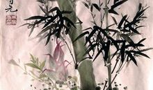 描写春天竹子的句子