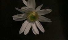 对不对朋友失望的句子