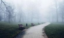 亲人为了利益不顾亲情的句子