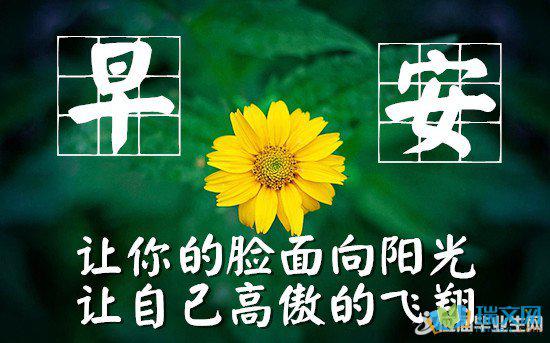 我的手机在春天吹动您的心
