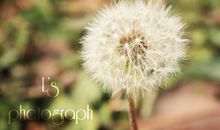 疫情时期通行证的说说 出入要有通行证的说说