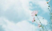 下雨心烦的句子图片带字图片