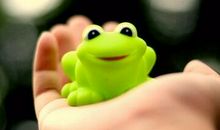 史上最滑稽的语句，笑死人不偿命！