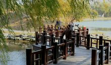 简单快乐的心态句子