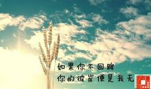 心情说说感悟青春