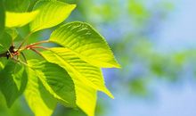 珍惜缘分亲情的句子