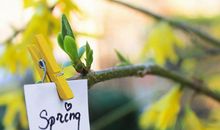 励志的英语口号