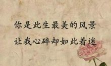 关于虚伪的个性签名