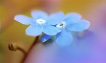 希望疫情赶紧过去的说说 2020抗击疫情正能量说说