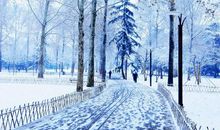 描写雪景优美的句子