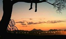 有关无奈的句子