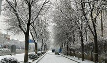 最喜欢下雪天的说说 最美下雪天的心情说说