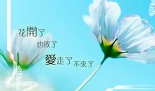 一个转身的经典说说