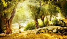 心累心烦的句子与图