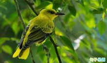 迎接开学的短句 开学季的短句